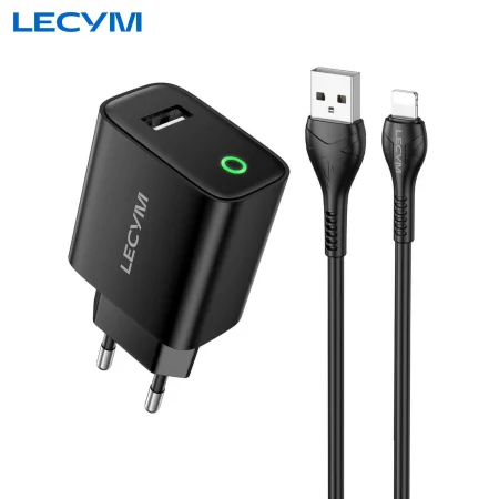 Chargeur + Câble iPhone Lightning
